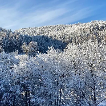 Stremme 公寓 维林根