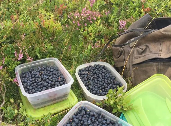 Stremme Appartamento Willingen (Upland)