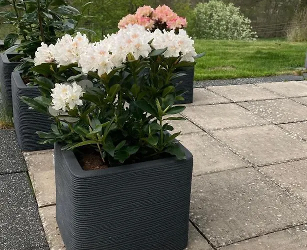 Stremme Appartamento Willingen (Upland)