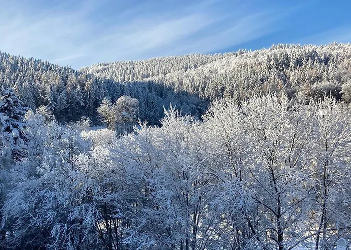 Stremme Appartamento Willingen (Upland)